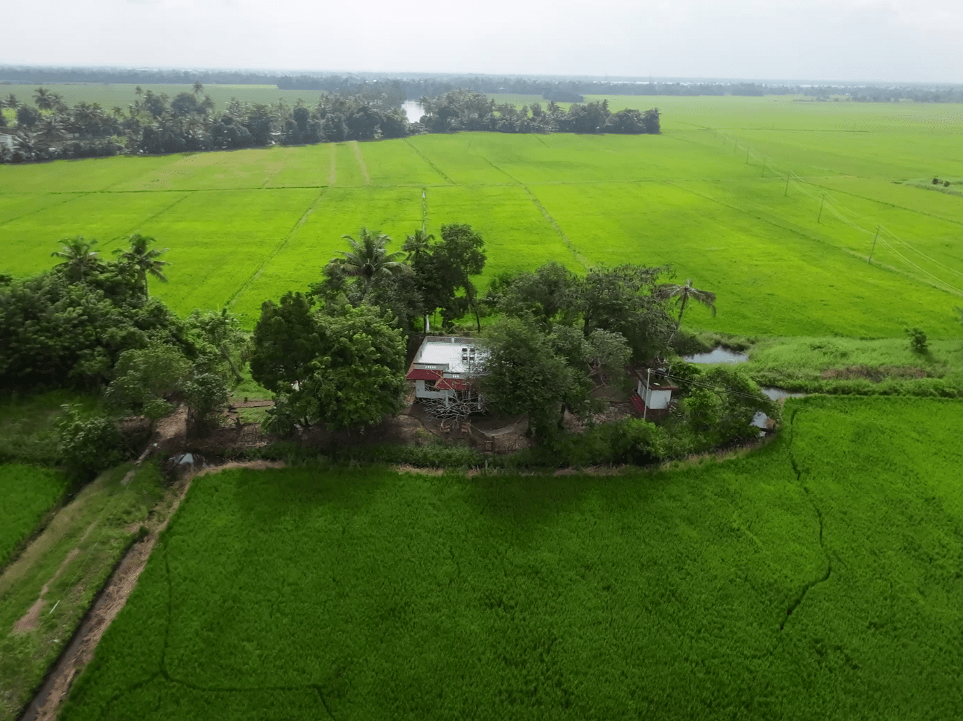 Vayal monk resort in Alleppey - Sanchari Travels & Activities