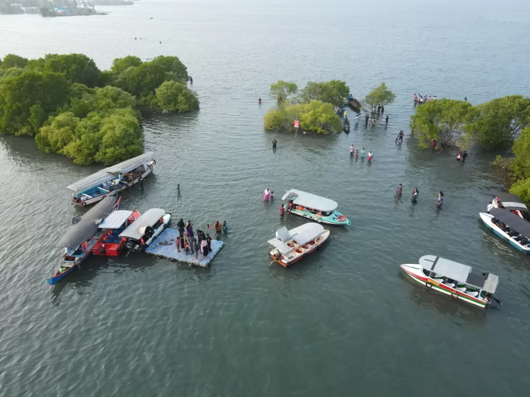 Ashtamudi Lake and Backwater Activities - Sambranikodi - Sanchari Travels & Activities