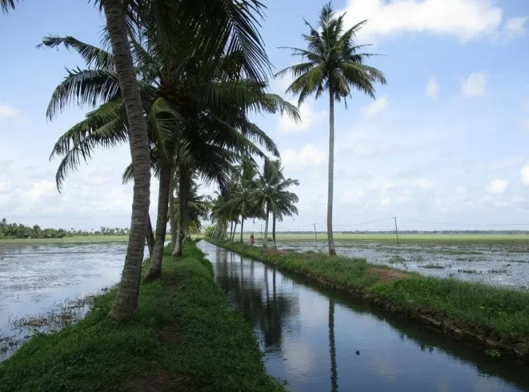 Rani, Chittira and Marthandom Kayals in Alleppey backwaters - Sanchari Travels & Activities