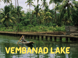 Vembanad Lake